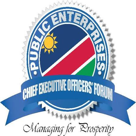 Public Enterprises CEO Forum